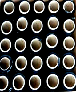 folia_stretch_abcmarket24pl.PNG